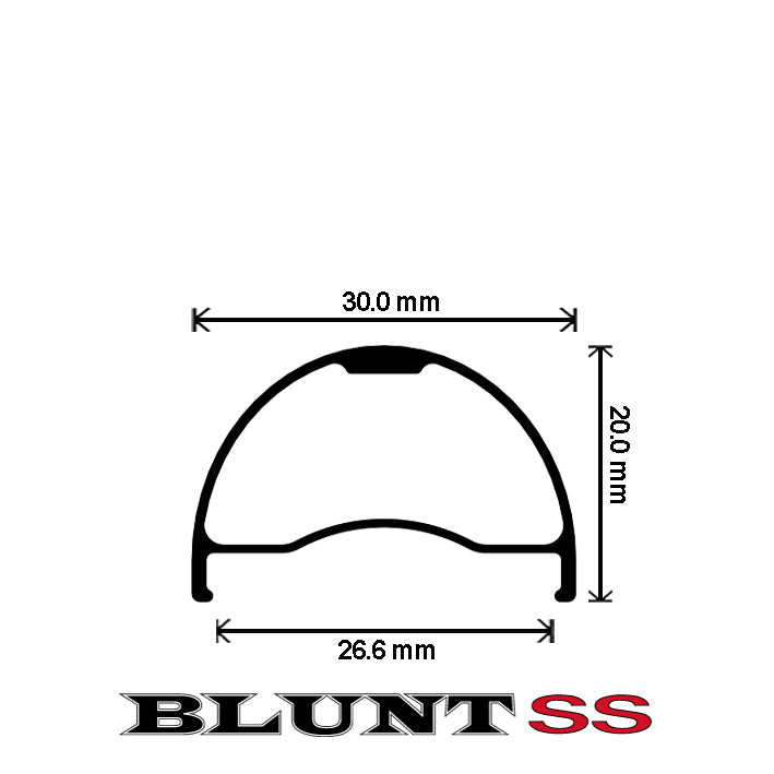Blunt SS Disc - Comp Build