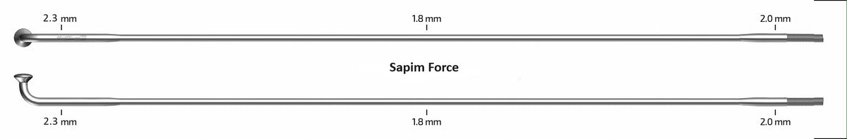 Sapim Force Spokes